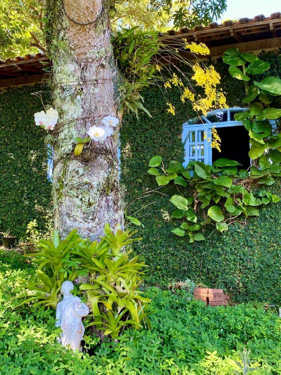 Pousada Casa Do Ipe Amarelo Miguel Pereira Eksteriør bilde