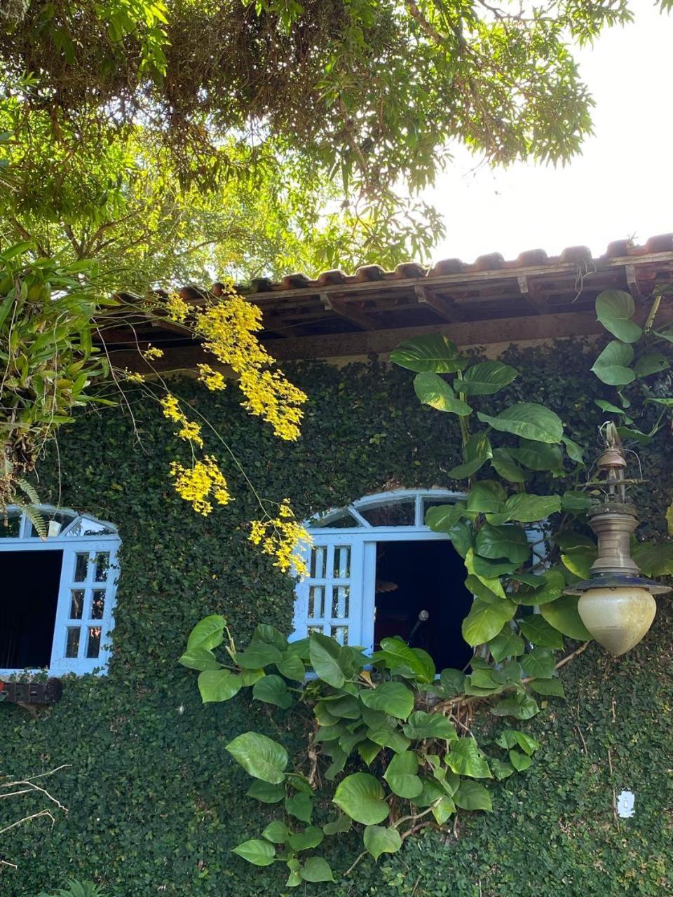 Pousada Casa Do Ipe Amarelo Miguel Pereira Eksteriør bilde